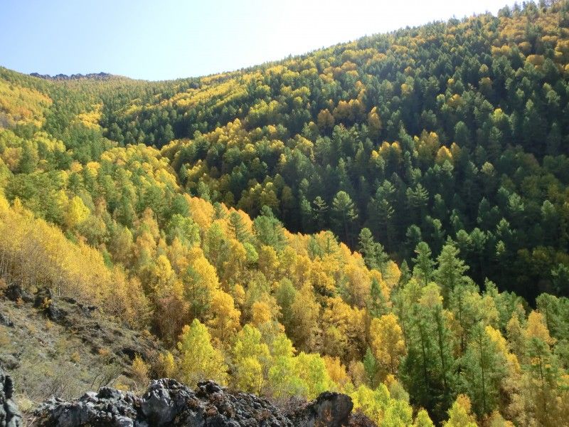 Jagd im Sajangebirge in Russland