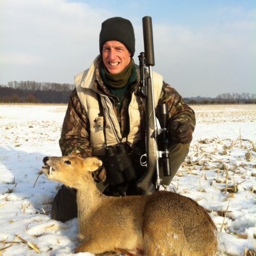 Jagd Auf Wasserreh Muntjak Und Damwild In Bedfordshire