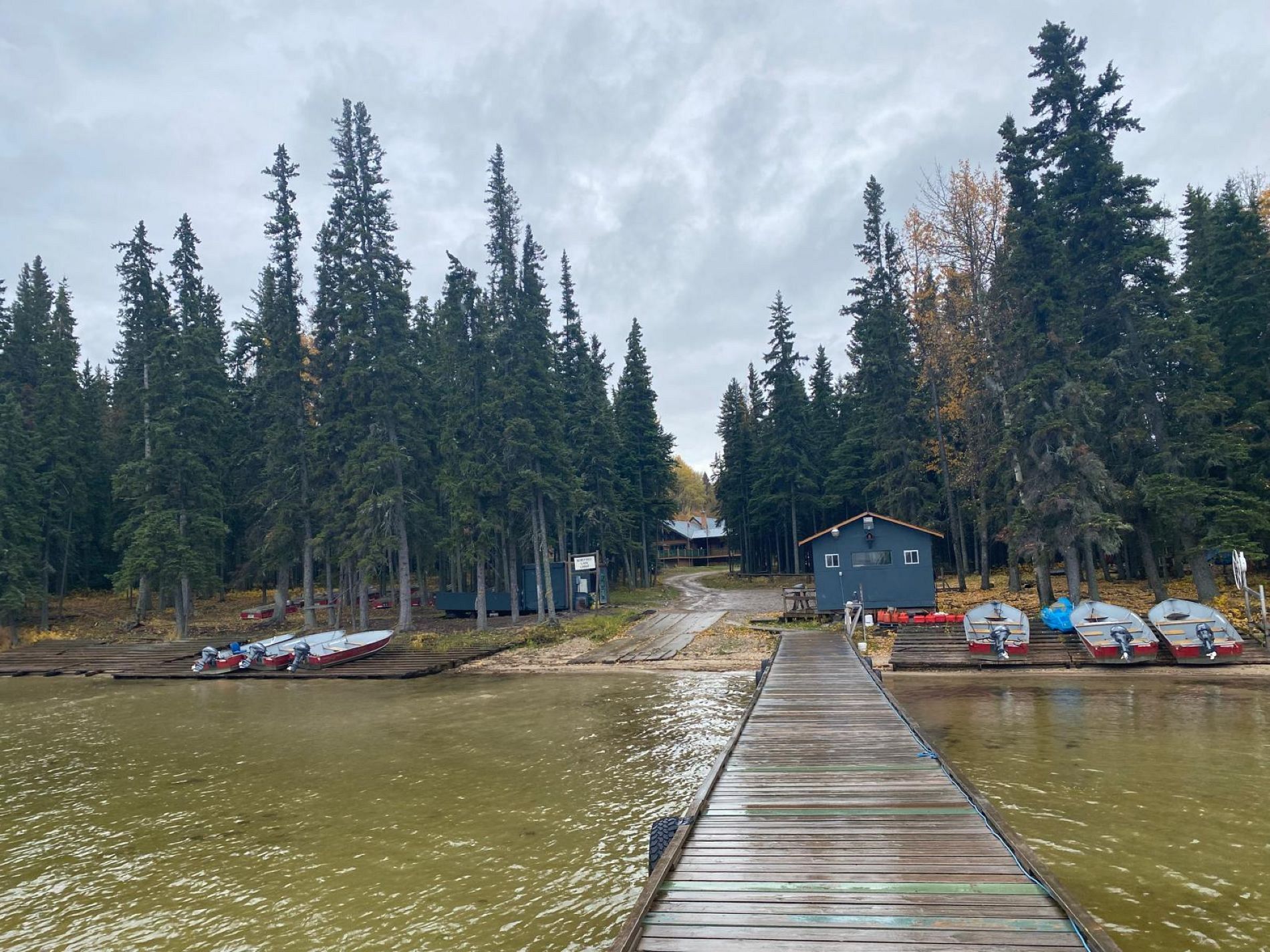 Winefred Schwarzbaerenjagd in Alberta / Winefred Lake